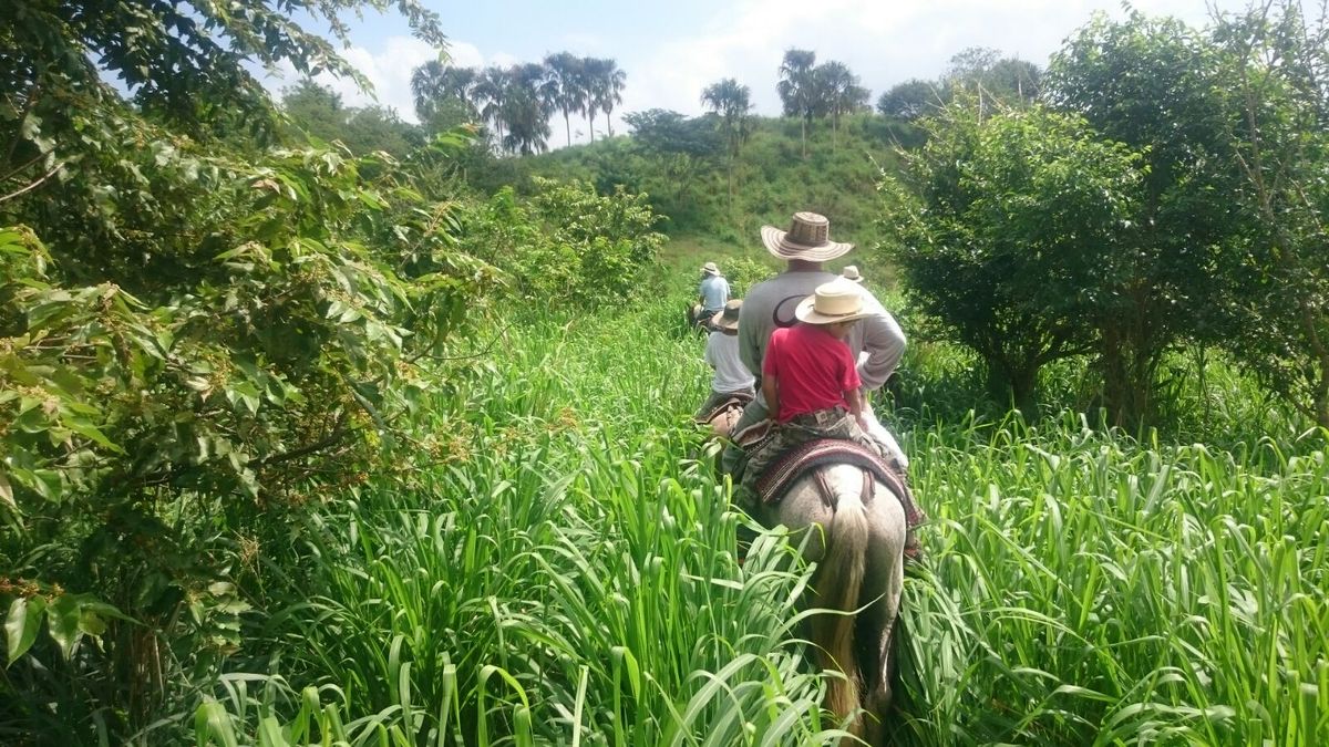 SIA-CAMPO Experience